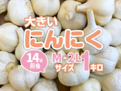 【1kg】大きなにんにく リピーター続出