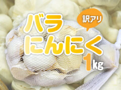 【1kg】訳アリバラにんにく　味は同じ!