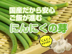 【予約限定販売】にんにくの芽 にんにくおまけ付