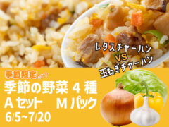 【季節限定】野菜4種 Aセット Mパック レタス たまねぎ パプリカ ニンニク