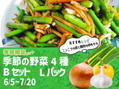 【季節限定】野菜4種 Bセット Lパック ニンニクの芽 たまねぎ パプリカ ニンニク